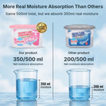 HASTHIP 3-Pack Refillable Moisture Absorber Boxes with Calcium Chloride for Closets and Cars