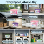 HASTHIP 3-Pack Refillable Moisture Absorber Boxes with Calcium Chloride for Closets and Cars
