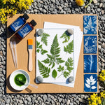 HASTHIP Cyanotype Kit with Two-Component Sensitizer, 20 A5 Sheets and Nature-Print Tools