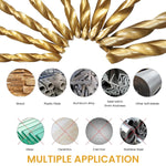 HASTHIP® 99Pcs Drill Bit Set, 135° Tip Titanium Coated High Speed Steel, Twist Drill Bit Kit for Iron,
