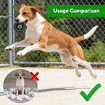 HASTHIP Squeaky Chew Ball – Interactive Dog Toy with Teeth-Cleaning Texture