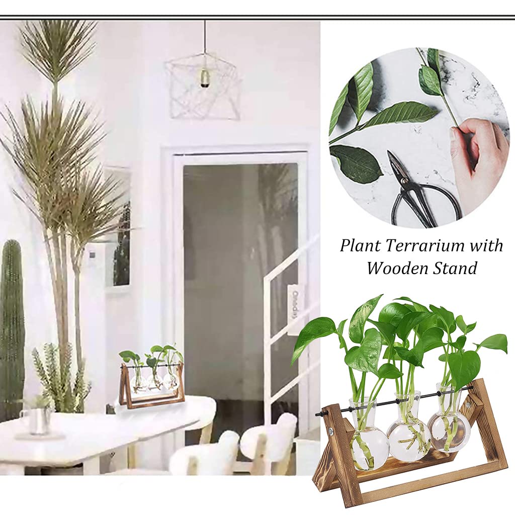 3Pcs Hydroponics Glass Planter with Wooden Stand for Desktop Table Decor Home Office, Plant Terrarium, Air Planter Bulb Glass Vase for Propagating Money Plant, Flower and More