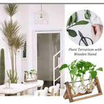 3Pcs Hydroponics Glass Planter with Wooden Stand for Desktop Table Decor Home Office, Plant Terrarium, Air Planter Bulb Glass Vase for Propagating Money Plant, Flower and More