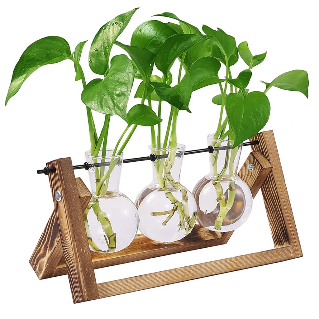 3Pcs Hydroponics Glass Planter with Wooden Stand for Desktop Table Decor Home Office, Plant Terrarium, Air Planter Bulb Glass Vase for Propagating Money Plant, Flower and More