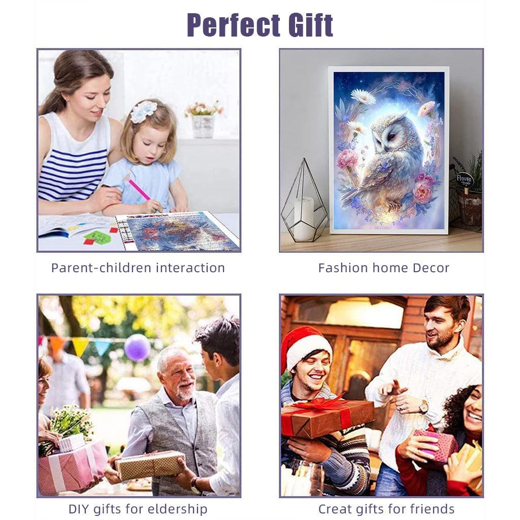 Diamond Painting Kit, 11.8x15.7inch Owl Diamond Painting, 5D Diamond Painting Kit for Adults & Kids, Suitable for Home Leisure and Wall Decoration, Gift for Kids and Adults