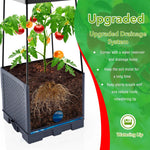 HASTHIP® Planter Box for Twining Plants, Clinging Plants, Tendril Plants, Climbing Vegetables, Vegetables Pots for Home Garden with Draining Holes & Trellis