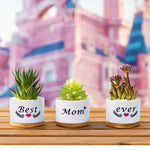 3Pcs Ceramic Planters for Succulent with Wooden Tray & Gift Box, 3.1'' Small Ceramic Pot for Balcony Home Indoor & Outdoor, Highly Durable Succulent Pots