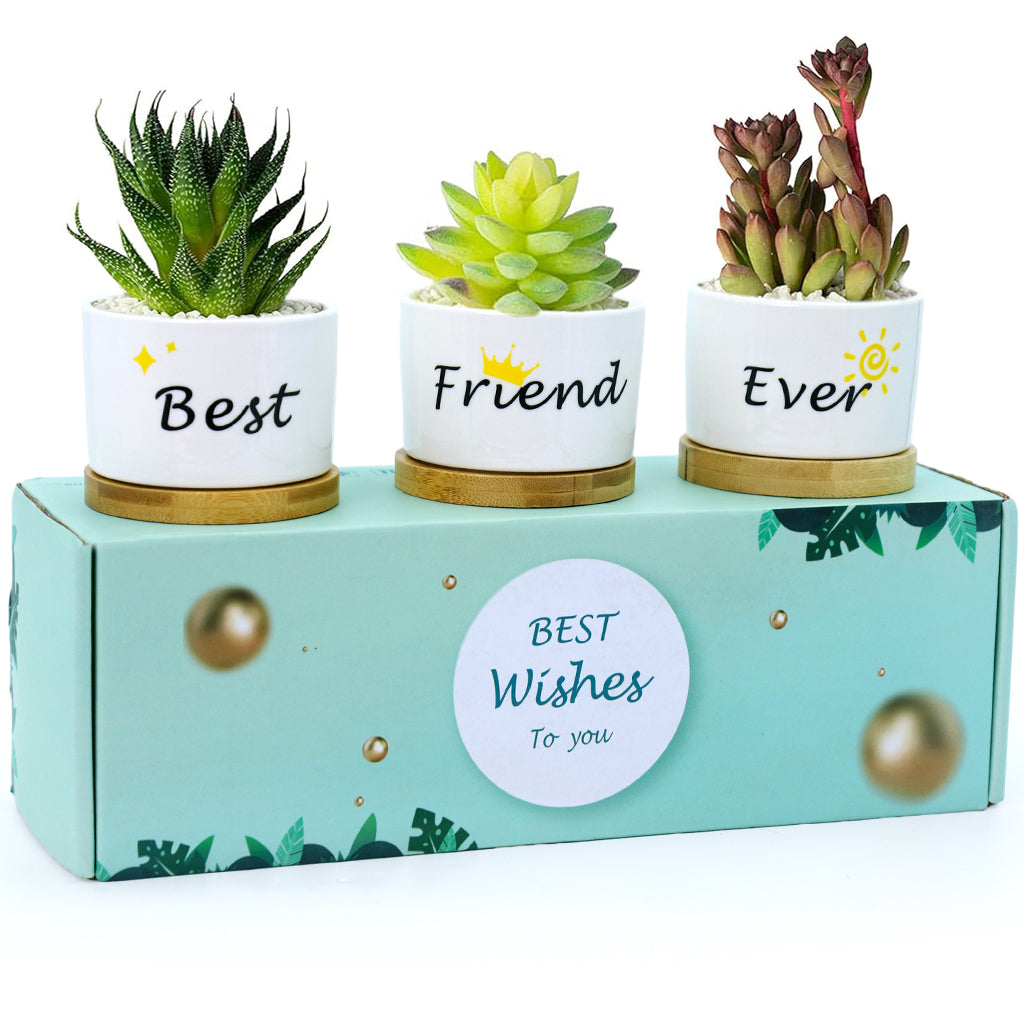 3Pcs Ceramic Planters for Succulent with Wooden Tray & Gift Box, 3.1'' Small Ceramic Pot for Balcony Home Indoor & Outdoor, Highly Durable Succulent Pots for Friends Gift