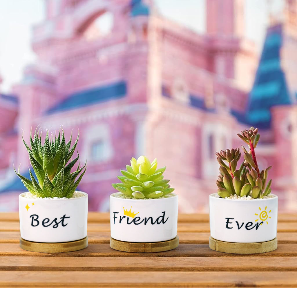 3Pcs Ceramic Planters for Succulent with Wooden Tray & Gift Box, 3.1'' Small Ceramic Pot for Balcony Home Indoor & Outdoor, Highly Durable Succulent Pots for Friends Gift