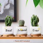 3Pcs Ceramic Planters for Succulent with Wooden Tray & Gift Box, 3.1'' Small Ceramic Pot for Balcony Home Indoor & Outdoor, Highly Durable Succulent Pots for Friends Gift