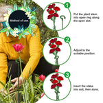 15pcs Plant Stakes Wire Plant Stake Flower Support Stake Rings Plant Support Sticks for Phalaenopsis Orchid Single Stem Flowers, Amaryllis, Peony, Lily